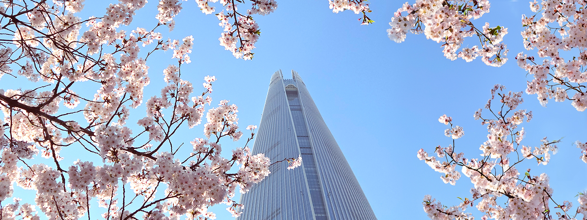 메인 슬라이드 이미지